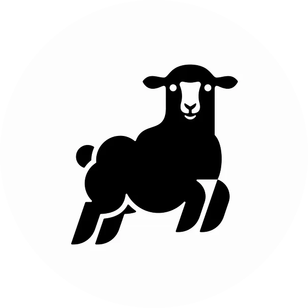 BSM 